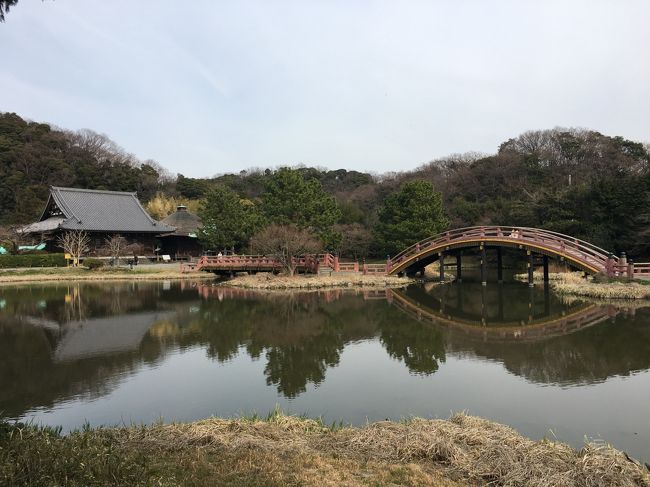 金沢文庫って要はどういう所?<br />〇〇文庫と言えば、思いつくのは学級文庫か角川文庫。<br />ついでにいえば金沢八景も駅名になっちゃってますが、よくわかってません。<br /><br />まあ京急やシーサイドラインで近くを通った事もあるので、全く知らない場所という訳でもないのですが、実際行った事無かったので、ちょっとぷらっと行って確認してきました。<br /><br />調べりゃわかる事だし、皆さん旅行記も書かれていますが、実際行ってみないとねという事です。サクッとご覧ください。