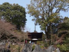 梅の盛りの石山寺を散策