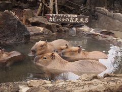 両親と行った熱川　１