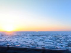 流氷が見れた～！熊に会った～！