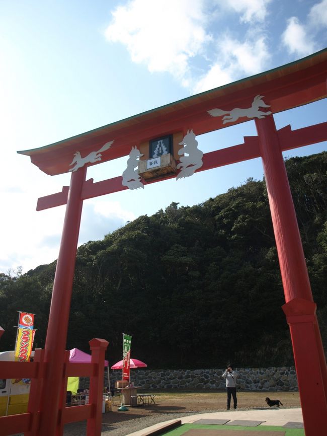 話題の元乃隅稲成神社に行くことができました。賽銭も挑戦すること十数回どうにかいけることができました。