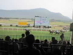 2016 ローカルっぽさが心地いいマイソール競馬場はインド競馬なのに快適でした!