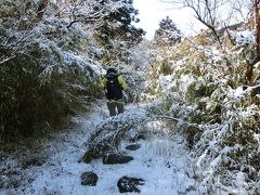 箱根へ！　箱根古道を歩きます。その2　鎌倉古道（湯坂路）から旧東海道へ　鷹巣山ー湯坂路入口ー曽我兄弟の墓　途中は雪道でビックリ！　