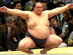 2017年　大相撲3月場所（大阪場所）に行ってきました。          2017年3月25日　14日目