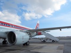 マルタ航空 Air Malta ビジネスクラス [マルタ→ブリュッセル]　宿泊は【Steigenberger Wiltcher's】　　マルタ＆ベルギー6