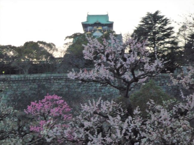 大阪の春は大相撲大阪場所と大阪城の梅林。<br />今回は大阪天満宮と大阪城の梅林を見てきました。<br />写真は大阪城天守閣と梅林です。<br />行くのが遅かったので暗くなっていますが、大阪城公園と梅林は無料で入場でき、終日入場できます。<br />といっても、夜は暗いので花見シーズンや催しの日以外は夜の訪問は危ないので気を付けましょう。