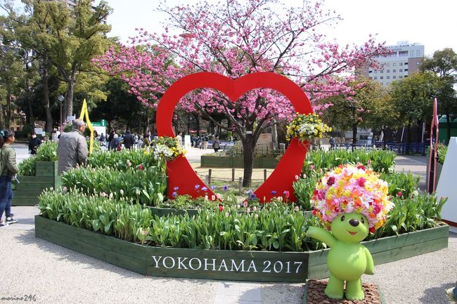 「横浜を彩る１００万本の花々と美しい街並みがお出迎え」<br /><br />３月２５日から「第３３回全国都市緑化よこはまフェア 2017」が開催されました。<br />よこはまフェアのテーマは「歴史と未来の横浜・花と緑の物語」。<br /><br />６月４日までの７２日間、花や緑が「ネックレス」のように、<br />まち、人、時をつなぎ、美しい横浜を表現します。<br />テーマフラワーは、サクラ、チューリップ、バラ。<br /><br />（その１）では、横浜公園～日本大通り～横浜開港広場を紹介します。<br /><br />「全国都市緑化フェア」とは？<br />国民ひとり一人が緑の大切さを認識するとともに、花や緑を守り、楽しみながら知識を深め、緑がもたらす快適で豊かな暮らしがある街づくりを進めるための普及啓発事業として、国土交通省提唱のもと、昭和５８年(１９８３年）から毎年、全国各地で開催されている花と緑の祭典。<br /><br />シンボルキャラクターのガーデンベア<br />グリーンの体に満開の「天然」花アフロヘアーが自慢の元気いっぱいのクマ。<br />英語の「BEAR」には、「クマ」のほかに「花をつける/実を結ぶ」という意味があり、”GARDEN BEAR&quot;は緑花（りょくか）を推進するよこはまフェアのシンボルキャラクターとして活躍します。<br /><br />開催期間は、３月２５日（土）～６月４日（日）<br />会場は、<br />・みなとガーデン…山下公園、グランモール公園、港の見える丘公園、横浜公園、日本大通りなど<br />・里山ガーデン…横浜動物の森公園植物公園予定地（よこはま動物園ズーラシア隣接）<br /><br />（実行委員会事務局のパンフレットより）<br />
