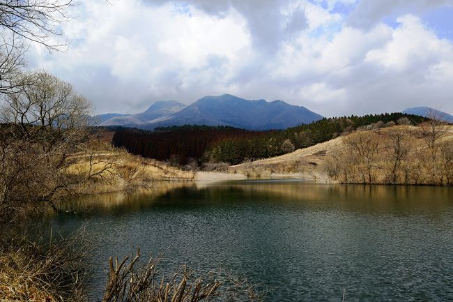 　久住町宮城の枝垂れ桜について、昨年は3月25日には見ごろを迎えていました。<br />　今年は全く情報が入ってこないので、自分の目で確かめるべく、2時間半をかけて現地へ行ってきました。<br />　開花の状況は全く皆無であり、今年の桜の開花は、世間で報じられているとおり、昨年より１週間程度遅れていることを確認しました。<br />　そんなことで、昨年行かなかった枝垂れ桜の場所を確認したり、これまで行くことがなかった彦太郎池や納池公園を散策してきました。