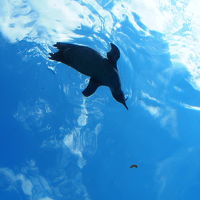 2016　夏の北海道　山も海も動物園も行く道央ドライブ旅行 4