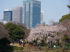 新宿の旅行記