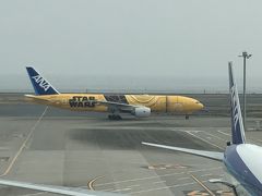 独り身男の気まま旅・・・羽田空港で飛行機見放題！C-3PO ANA JETも！！ ☆ANAで空旅⑥☆