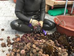 2日目 釜山ぶらり旅。 海女小屋編。