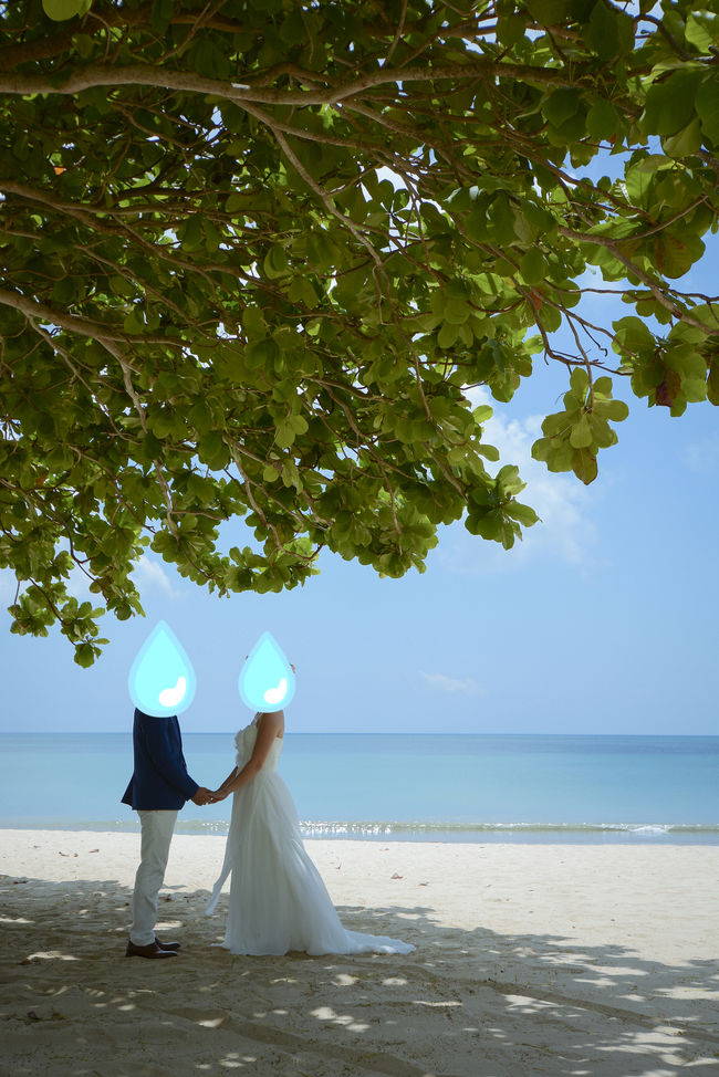 初めてのバリ島。結婚式とハネムーンを兼ねての家族旅行といった感じ。<br />バリ島と言えばヴィラ。邸宅１週間貸切とかが<br />ハワイやグアムではまず無理な予算で叶えられるのがこの島のいいところ。<br />今回カサブランカスイートヴィラを選んだ理由は、敷地に１棟だけのプライベートヴィラであることと、<br />また予算的にも他と比べてリーズナブルだったことです。それにもかかわらず、メールや打合せでの対応、<br />現地での対応は本当によかったです。<br />メールでもすぐ返信を頂けましたし、現地でも日本語を話せる方がずっと付いていてくれました。<br />普通に旅行会社とか、ウェディングサイトで探していたらこうはいかなかったかな？とも思いました。<br />ここにして本当によかったです。