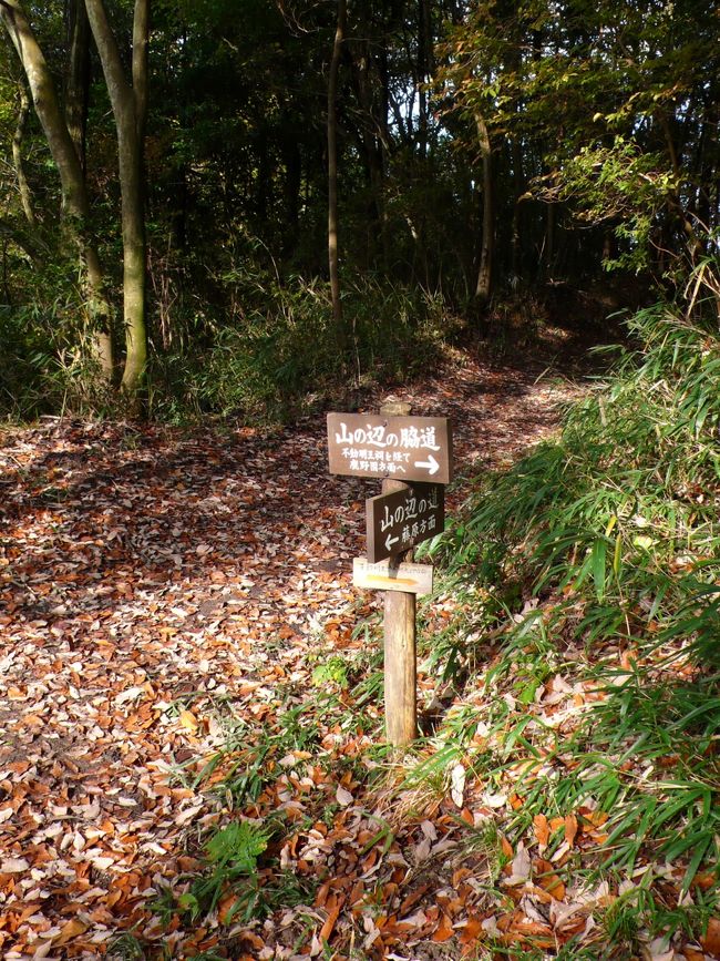 奈良を歩く -2016秋- 北・山の辺の道　奈良→天理＜約20キロ＞