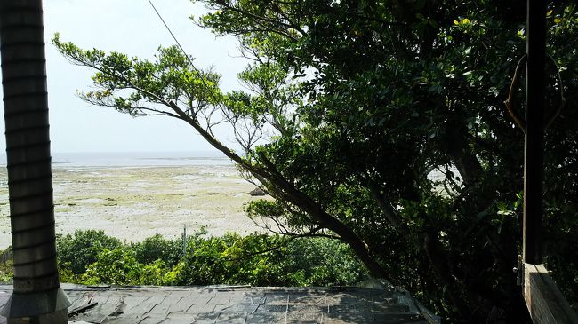 春休みを利用して沖縄に行ってきました。例年よりも寒いといわれていたので服装悩んでいたのですが、流石は沖縄。暖かいです。<br />関東のあたたかいGW位です。薄手のウインドブレカーは必要でしたが、太陽さえ出ていれば薄手の長袖で十分でした。<br /><br />今回家族5人になって初めての沖縄です。<br />7歳、4歳、1歳がそれぞれ楽しめるポイントを考えて日程を組んでみました。参考になれば幸いです。
