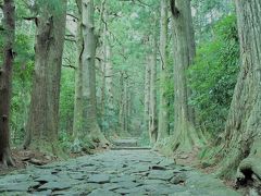 山笑う、熊野古道・大門坂を歩いてみました。