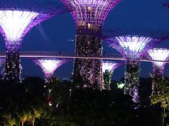 20170328-3 シンガポール Marina Bay Sandsとか、夜景とか → Chinatown Food Court