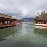 2017年3月27日：世界遺産の旅in広島（2日目・前編）　宮島杉之浦～宮島桟橋～厳島神社～西松原～清盛神社～岩村もみじや