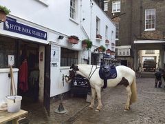 ロンドン　オバサン一人旅　ハイドパークで馬に乗る