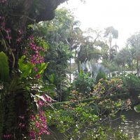 タイ（バンコク）「アナンタラ・バンコク・リバーサイド・リゾート＆スパ」（Anantara Riverside Bangkok Resort）