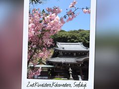 西国三十三観音巡り 第二回と第四回・紀三井寺・粉河寺・施福寺と南円堂・三室戸寺・醍醐寺　2017年 3月と4月