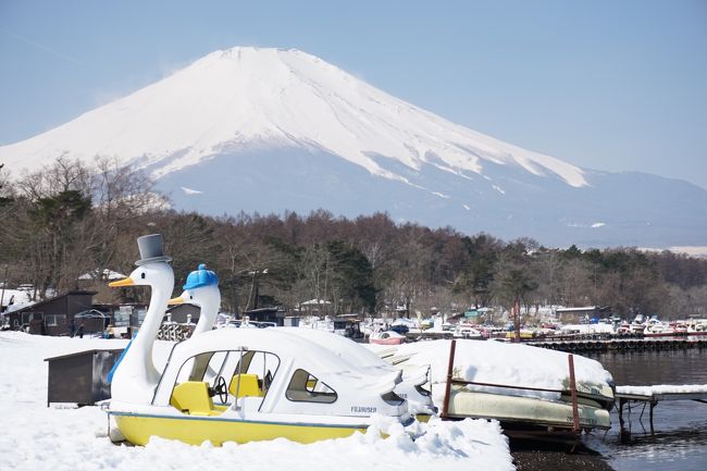 丸１日遊べる旅行中日の30日は<br />終日暖かく、明るい春の空が広がりました(*^o^*)<br /><br />この日の目的はタイトル通りの富士山山梨側ドライブ。<br />昨日とちょうど半円ずつ♪<br />足してグルッと周遊完成(^o^)/<br /><br />乗り物好きの私達は<br />車だけでは物足りず<br />船にもロープウェーにも乗ったり<br /><br />あと<br />偶然出会えた大好きな作家さんの絵を見に行けたり<br />朝から晩まで大満喫の１日でした(*´∇｀*)<br /><br />旅行記後編はそんな中日<br />そして翌日の帰路やお土産色々をまとめてご紹介していきます。<br /><br />今回の旅、富士山しか目的がなかったので<br />変わり映えのしない写真ばっかりでホントすみません(^^;)<br />それでもお付き合い頂ける方々は<br />どうぞ後編も引き続きお立ち寄りくださいm(_ _)m