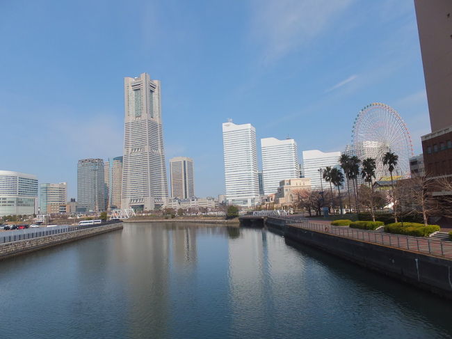 K君と野毛で飲むます。せっかくの機会なので、一日でどれくらい横浜観光ができるか、挑戦してみました。横浜観光は8:00～17:30の約9時間半。<br />中華街で食事、伊勢佐木町でのコーヒーブレイク以外は徒歩で横浜観光をしました。バスに乗ったのは、港の見える丘公園から桜木町にもだった一回だけ、流石に疲れました。野毛の二か所で飲んだ後、横浜を出たのは夜11時を過ぎていました。観光は、無料で拝観できるところは見学しました。<br /><br />八王子　⇒桜木町　⇒　（徒歩散策）みなとみらい地区、ランドマークタワー、帆船日本丸、クロスゲート、汽車道、横浜ワールドポーターズ、ジャクリーンガーデン、赤レンガ倉庫、象の鼻、馬車道、馬車道十番館、神奈川県立歴史博物館、横浜大桟橋、臨港線プロムナード、横浜税関（通称：クイーンの塔）、神奈川県庁（通称：キングの塔）、開港記念館（通称：ジャックの塔）、日本の大通り、横浜開港資料館、シルクセンター、山下公園：インドの塔・赤い靴をはいていた女の子の像・氷川・マリンタワー、山下公園通り、横浜人形の家、中華街、元町、霧笛楼（元町仲通り）、アメリカ山公園、横浜地方気象台、横浜外国人墓地、山手十番館、山手資料館、横浜山手聖公会、元町公園：山手234館・えの木てい本館・エリスマン邸・山手80番館遺跡・ベーリックホール、岩崎ミュージアム、港の見える丘公園：イングリッシュローズの庭・ベイブリッジ・イギリス館・大佛次郎記念館・霧笛橋・神奈川近代文学館・バラとカスケードの庭・山手111番館　⇒　（バス）⇒　桜木町　⇒（徒歩散策）美空ひばり像（日ノ出町）、旧青線街（日ノ出町から黄金町）、伊勢佐木町、吉田橋関門跡、大岡川の桜、野毛