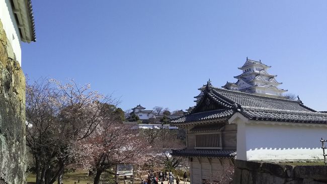 友人達と姫路城の桜を見に行きました。行きは現地集合だったので、安上がりに成田からLCCで行きました。