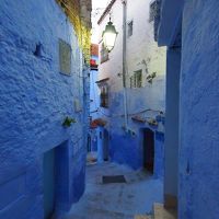 ２０１６　憧れのモロッコへ～青い街シャウエンは猫パラダイス！
