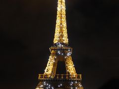 やっぱりパリが好き！２０年ぶり母子パリ旅行⑤　イルミネーションツアーで夜のパリを疾走