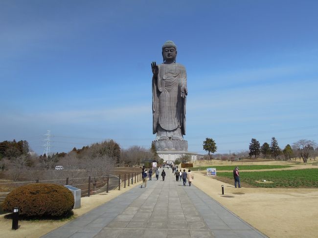 2017/3/18　牛久大仏・偕楽園・大洗磯前神社<br />2017/3/19　袋田の滝・那珂湊市場・鹿島神宮・&#23643;風ヶ浦<br />2017/3/20　八幡岬公園・勝浦朝市・大福寺（崖観音）・鋸山日本寺（地獄のぞき）