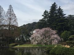 静岡廿日会祭にて、静岡浅間神社から街歩き！