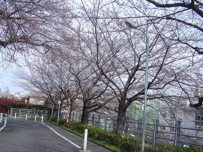 　田園調布「桜坂」の写真を友人に見せたら「9日あたり田園調布でお花見したいな！」の話が出ました。<br />　大田区役所HPで公園探して、下見に行きました。本当は4月2日が良いかも＜後の祭りだよ＞<br />　<br />　　区役所公園課に問合せしたら「公園内でのBBQ禁止」「仮設トイレ用意してある公園もあります」<br />　