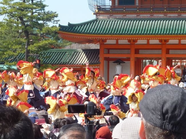 快晴の京都、気温はやや寒い感じ。<br />もう既に咲いている桜もあるようです。<br />とにかく人出が多く、各観光地はもの凄く混んでいます。<br />鴨川の河川敷、遊歩道なんかも桜が満開になり、桜のアーチが毎年見れるようです。<br />観光地も良いが、鴨川の河川敷は、ゆっくり見物できて良いかもです。<br /><br />2017年 京都桜だより http://kanko.city.kyoto.lg.jp/feature/sakuradayori.php<br /><br />粟田神社 http://awatajinja.jp/<br /><br />青蓮院門跡 http://www.shorenin.com/haikan/<br /><br />円山公園 http://www.city.kyoto.lg.jp/kensetu/page/0000083282.html<br /><br />京都のバリアフリー観光・旅行 お役立ち情報まとめ https://matome.naver.jp/odai/2136877283891323601<br /><br />第13回 京都さくらよさこい-そこで舞うは、桜か君か- <br />http://www.sakuyosa.com/<br /> 4/01(土)~4/02(日)岡崎公園エリア・梅小路公園エリア<br /><br />京都アメリカフードフェスティバル2017<br />http://603usa.com/<br />4/1(土)~2(日) 京都市国際交流会館 10:00~16:30 <br /><br />京都の介護タクシー http://kaigotaxi-info.jp/top_586.html<br /><br />