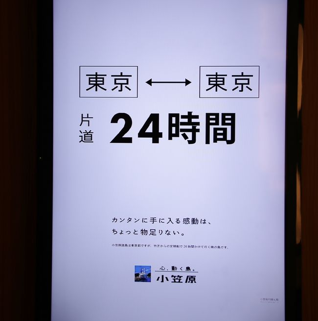 母島3日目。今日は午前中に乳房山に登って、14時の父島行の船に乗る。