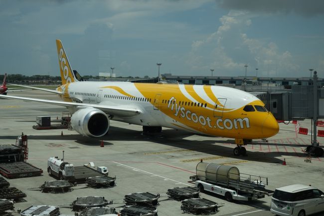 シンガポールから台北へのフライトは、SCOOTってぇ航空会社。LCCと言うやつですかね？LCC、タイ国内線しか経験無いけど、どないでしょうね？