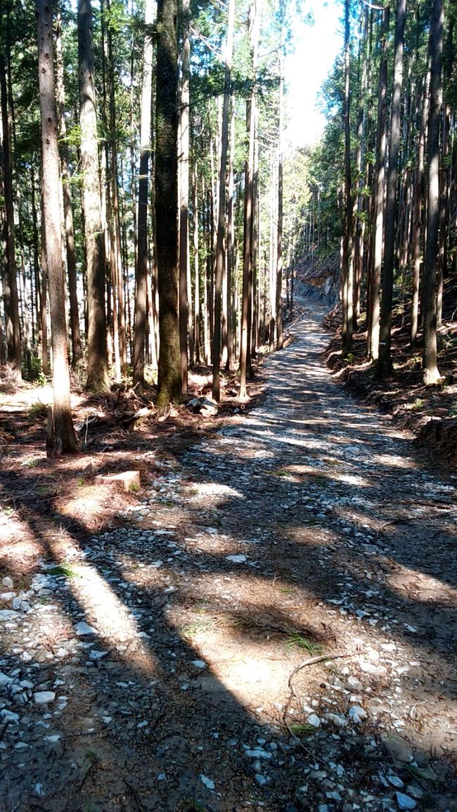 頭の神様へお参りし、熊野古道の一部を日帰りで訪問。<br />いつかは熊野三山へもお参りしたいです。