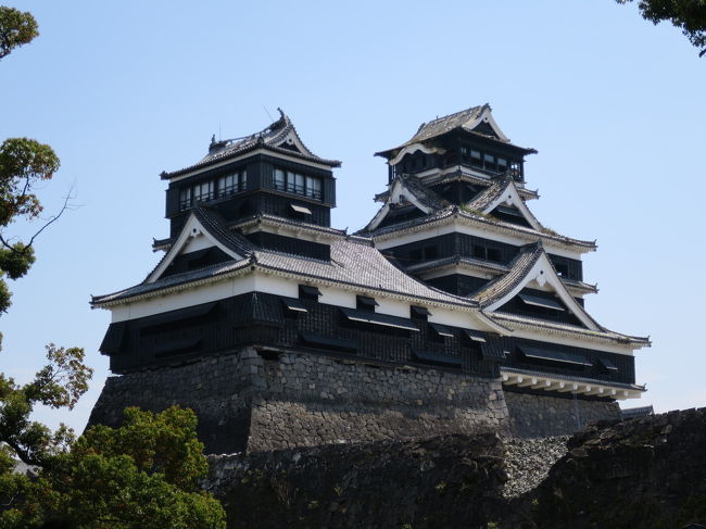 JALの「どこかにマイル」を申込み「徳島・北九州・熊本・宮崎」中から「熊本」に行先が決定し日帰りで行ってきました。妻の実家がある熊本に縁があるようです。これから復旧工事の為、しばらく姿を見る事が出来なくなる熊本城と水前寺公園を散策しました。天気にも恵まれ、熊本城では期間限定で解放された場所を見学できたり、帰りの飛行機ではファーストクラスに座る事が出来たのでとても良い1日となりました。<br /><br />旅程<br />羽田⇒熊本 JAL625(エコノミークラス)<br />熊本城⇒桜の馬場⇒熊本市役所⇒水前寺公園<br />熊本⇒羽田 JAL634(クラスJ)<br /><br />