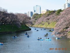 【東京散策63】 まだまだ満開じゃない千鳥ヶ淵と恩賜上野公園の桜を見ました