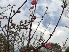 2017 3月・4月 ほぼ初九州　熊本・玉名・山鹿満喫3日間の旅（2日目）