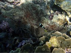 リベンジ！宮古島（３日目）