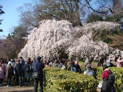 青春１８切符は飛雲閣と二条城