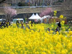 ガーデンネックレス横浜２０１７、里山ガーデン・・・