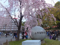 上野公園の桜を求めて 2017/04/03
