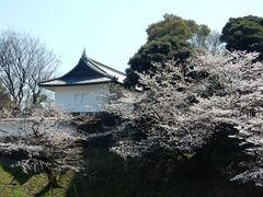 東京の桜が満開と聞き、千鳥ヶ淵、靖国神社、新宿御苑と散歩してきました。