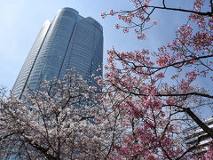 東京桜散策　千鳥ヶ淵から毛利庭園へ