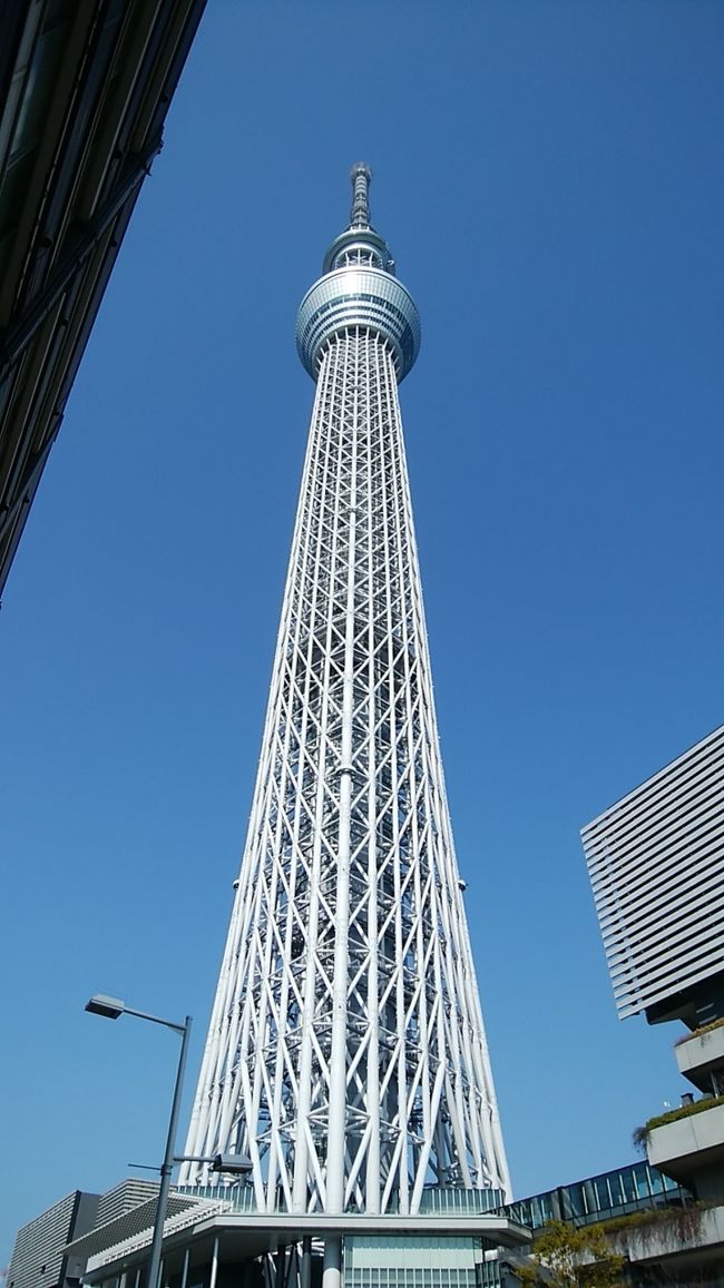 やっと行けた!!　東京スカイツリー