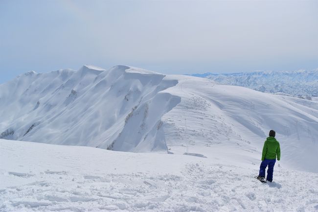 東洋一の大雪庇と言われている新潟県の守門岳へ登ってきました。<br /><br />樹氷に始まり、上信越の白き山並み、穏やかな稜線、そして山頂から見る巨大な雪庇と、雪山で見ることのできる冬景色が凝縮された登山でした。<br /><br />ブログにたくさん写真を載せたので、良ければご覧ください<br /><br />▼ブログ<br />http://bluesky.rash.jp/blog/hiking/sumondake.html