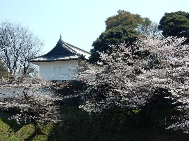 東京の桜が満開との某新聞の記事を見て、天気もいいし満開の桜を見に行くか！　と夫婦で東京桜散歩に行ってきました。<br /><br />正に花盛り！　を期待したのですが、まだ３－４分咲きから５－６咲きが多かったですよ。　なかなか花見の最高のタイミングで仕事が休みってことは難しいですね。<br /><br />でも天気も良く、楽しめましたね。ウイークディだというのに人出の多さには驚きました。