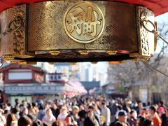 プロのカメラマンと回る東京の名所